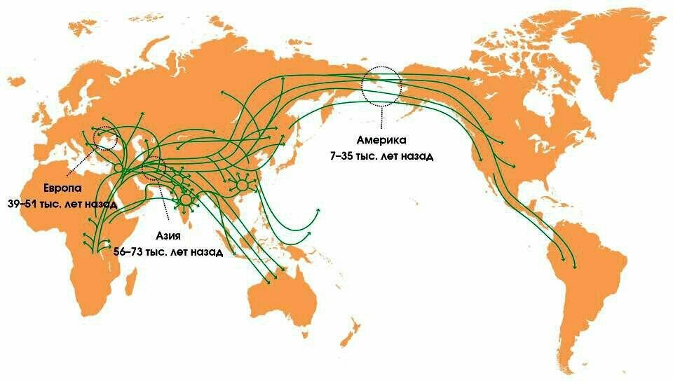 Маршруты расселения первобытных людей по планете