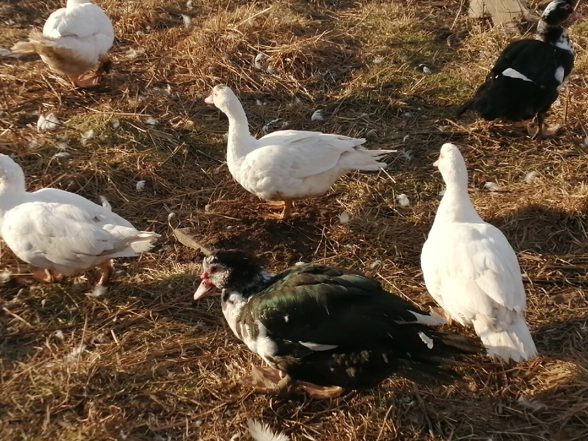 Наша молодёжь!