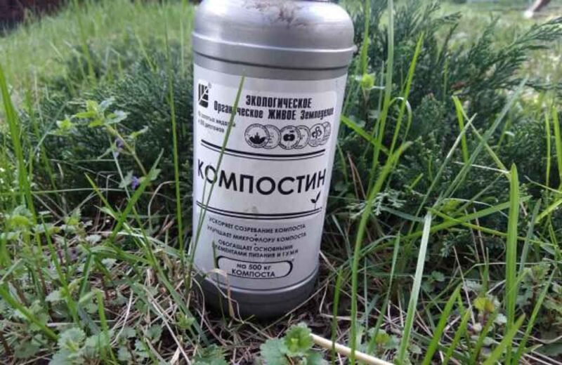 «Гуми-Оми Компостин». Иллюстрация для статьи используется с сайта sadartemenko.ru