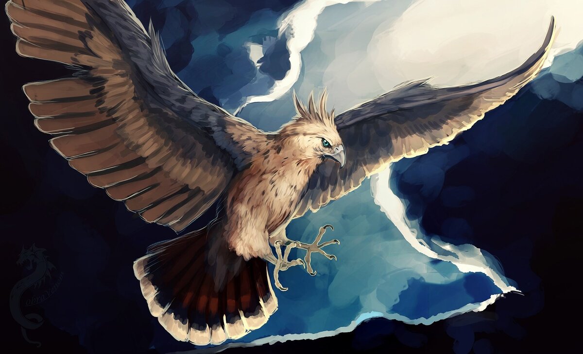 фото из интернета