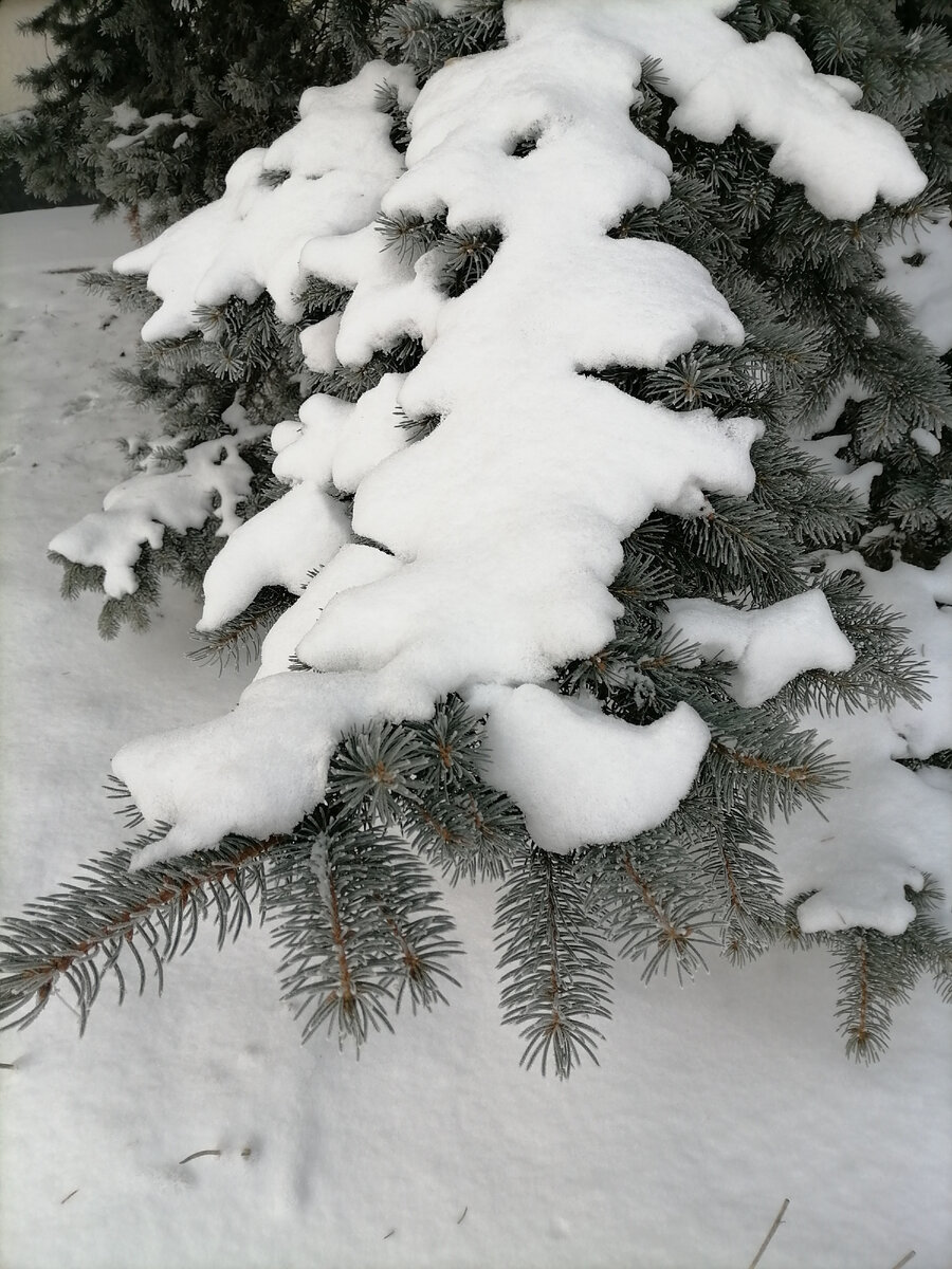 У нас столько снега! Даже не верится! Настоящая зима в этом году!