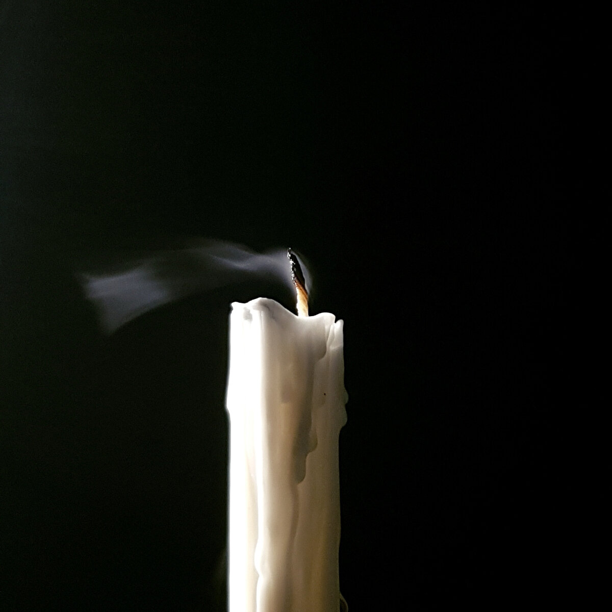 Вношу ясность в размышления собеседников. Автор фото — Samuel Wong (Pexels)