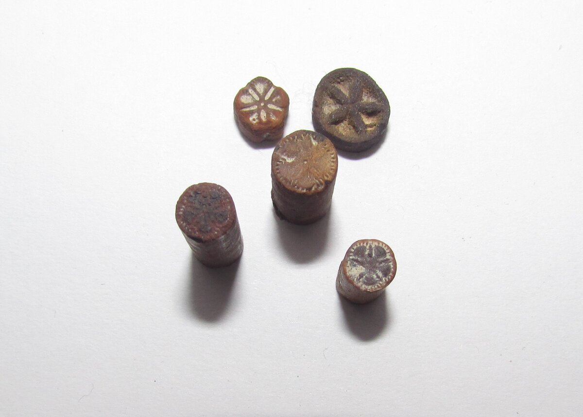 На фото - фрагменты стеблей(трохиты) ископаемых морских лилий, предположительно мелового периода. 