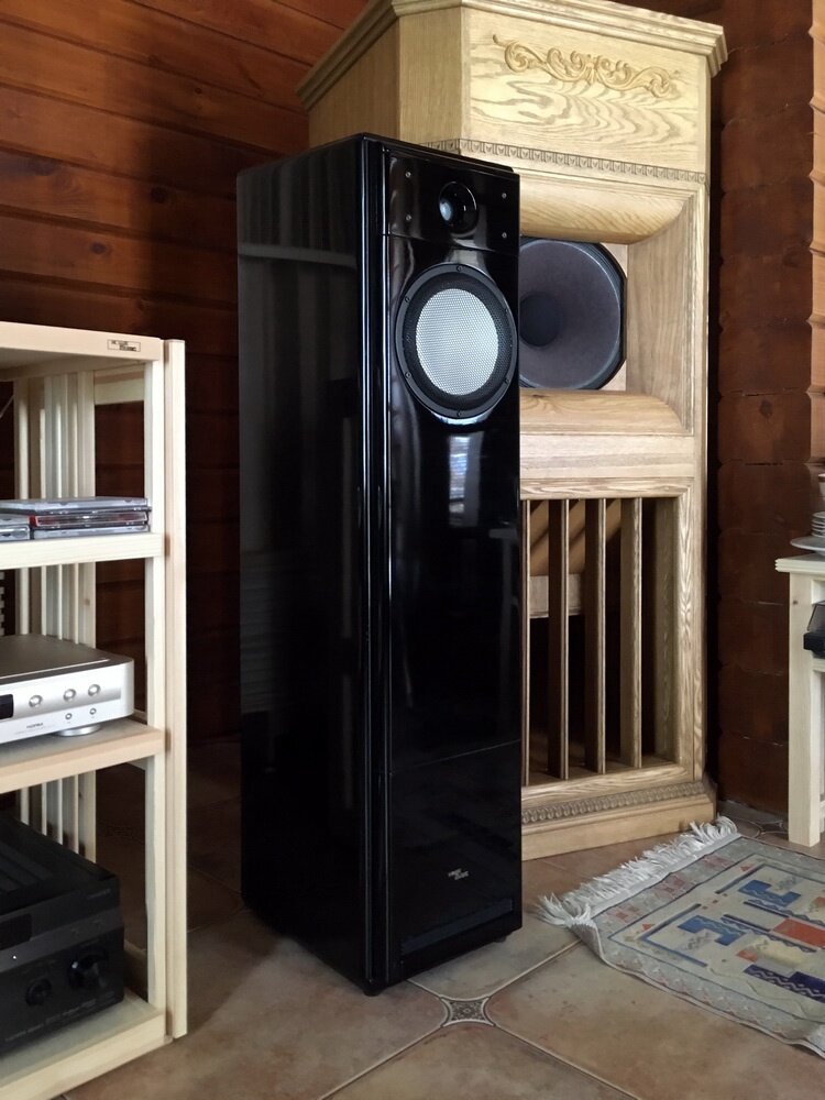 Долгий проект, расчет корпуса, закупка динамиков, макет, разработка ...