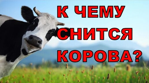 Видеть во сне корову