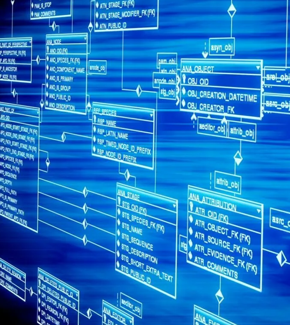 Case базы данных. Mag resource database.