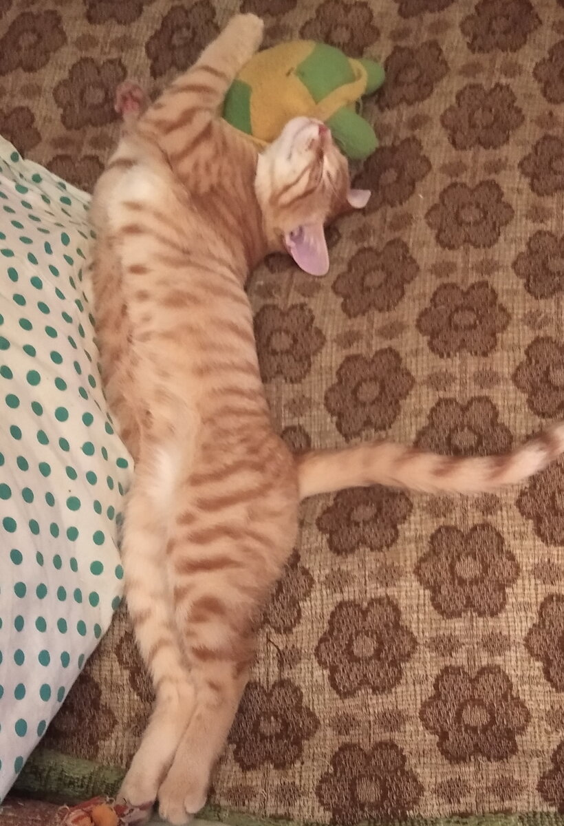 Личное фото.