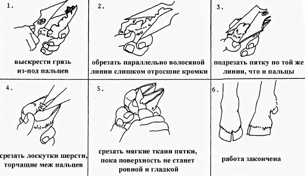 Зюзин Петр Федорович