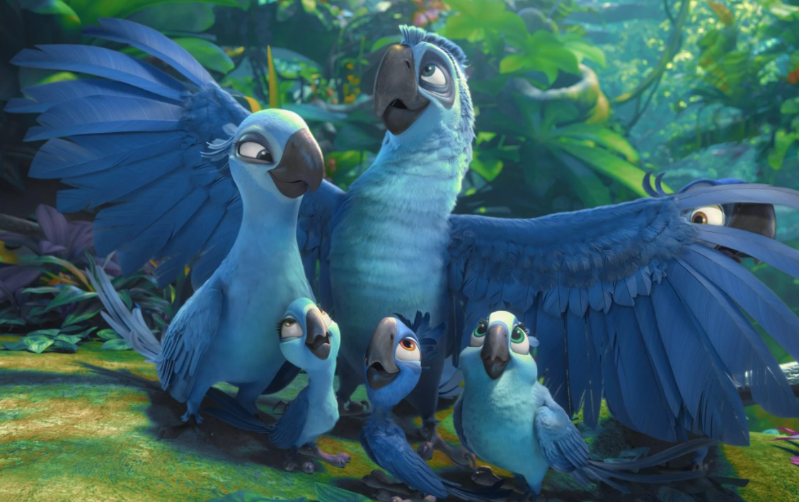 Это попугаи. Голубые попугаи. Мультяшные. Не голуби!