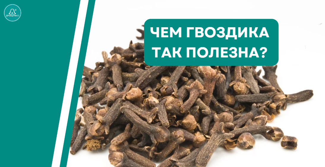 Мы можем приобрести эту специю практически в любом магазине в отделе специй.