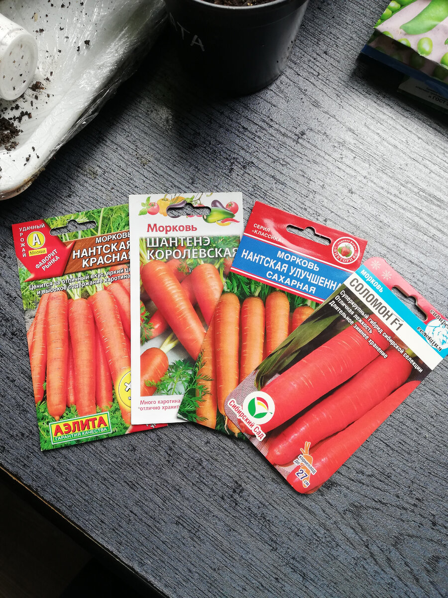 Все семена среднеспелые, даже гибрид Соломон. 