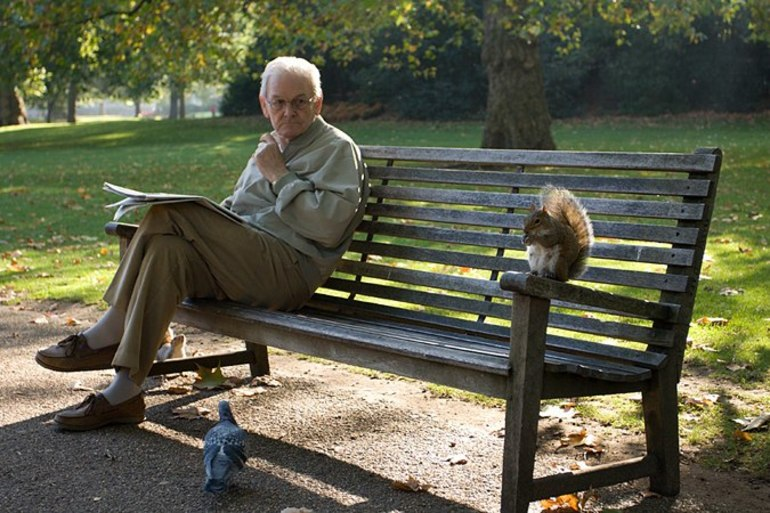 Пожилые мужчины рассказ. Человек сидит на скамейке. Люди на лавочке. Люди на лавочке в парке. Старик на скамейке.