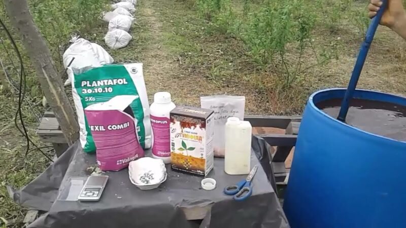 Что нельзя смешивать. Фото используется с сайта YouTube