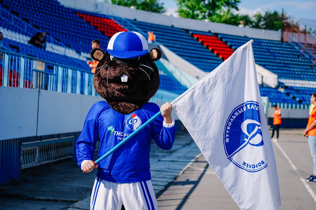 Футбольный клуб факел
