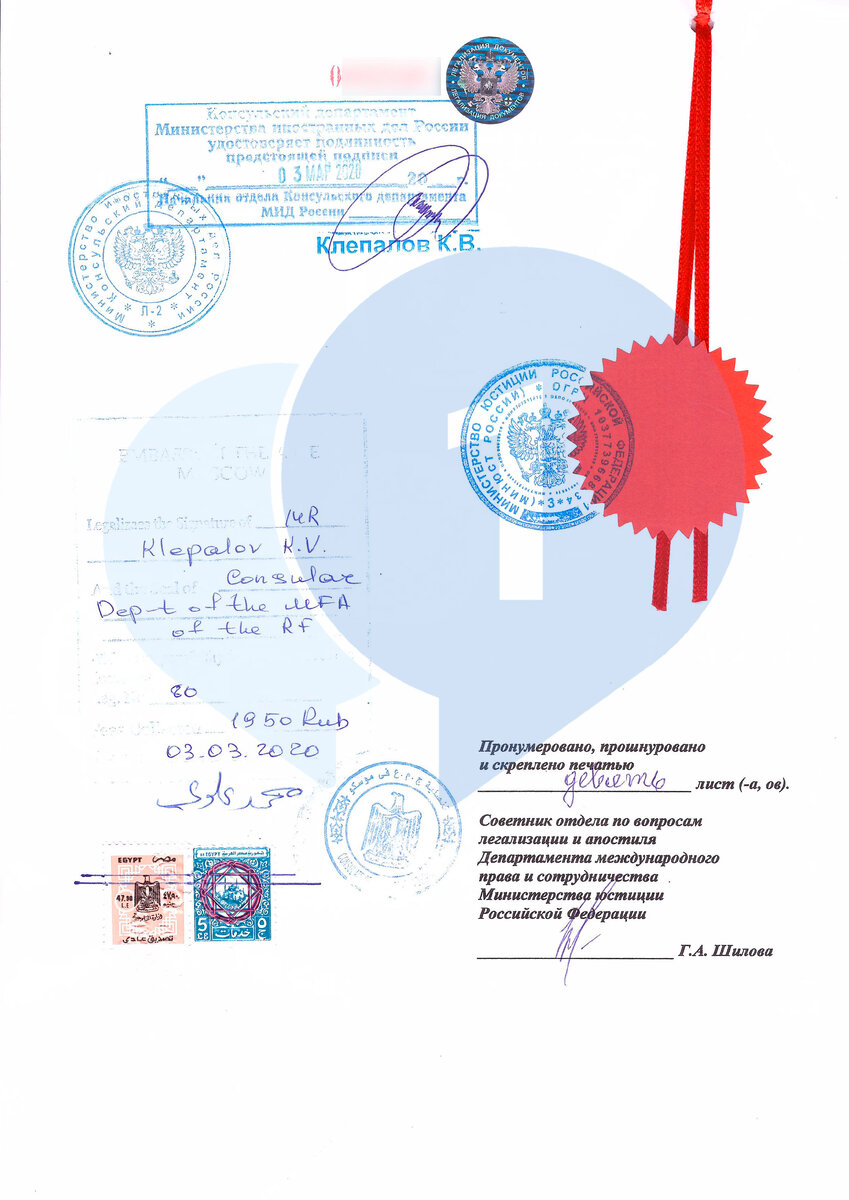 Обратная сторона полностью легализованного документа, выданного госучреждением 