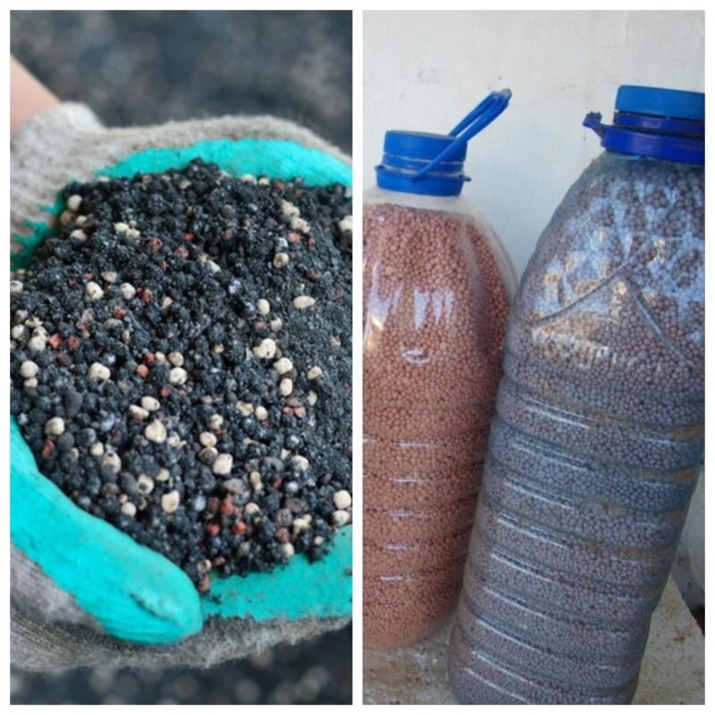 Минеральные подкормки. Иллюстрация для статьи используется по стандартной лицензии