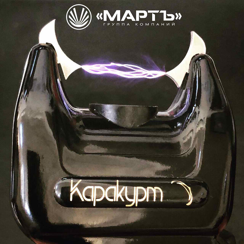 Смоленским сотрудникам ГИБДД выдадут электрошокеры
