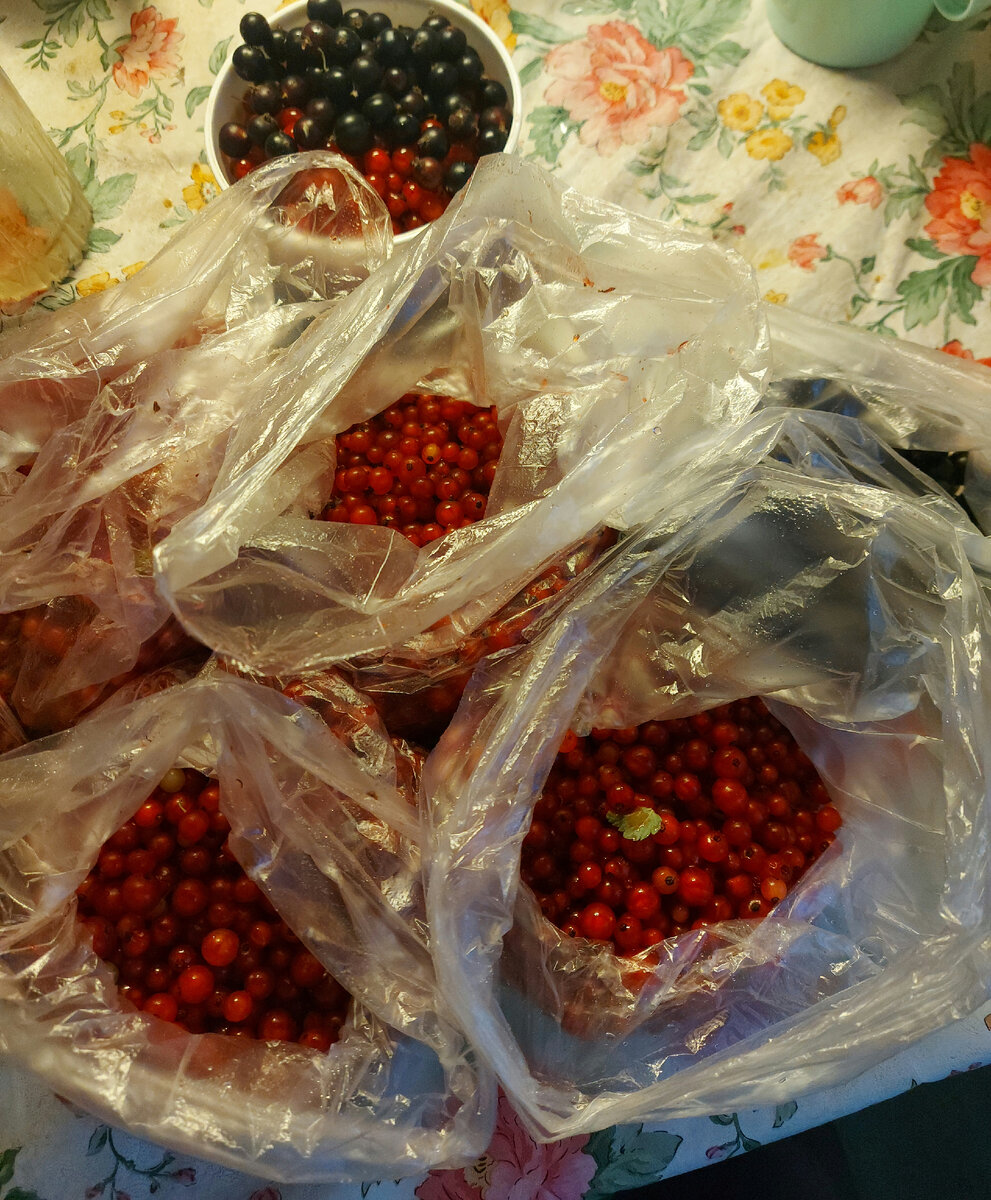 Ягоды в морозилку