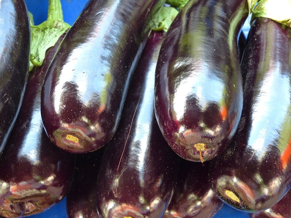 Баклажаны