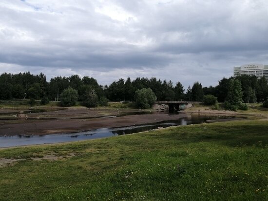     "Сбежавшая" Лососинка. Июль 2022 года. Максим Берштейн