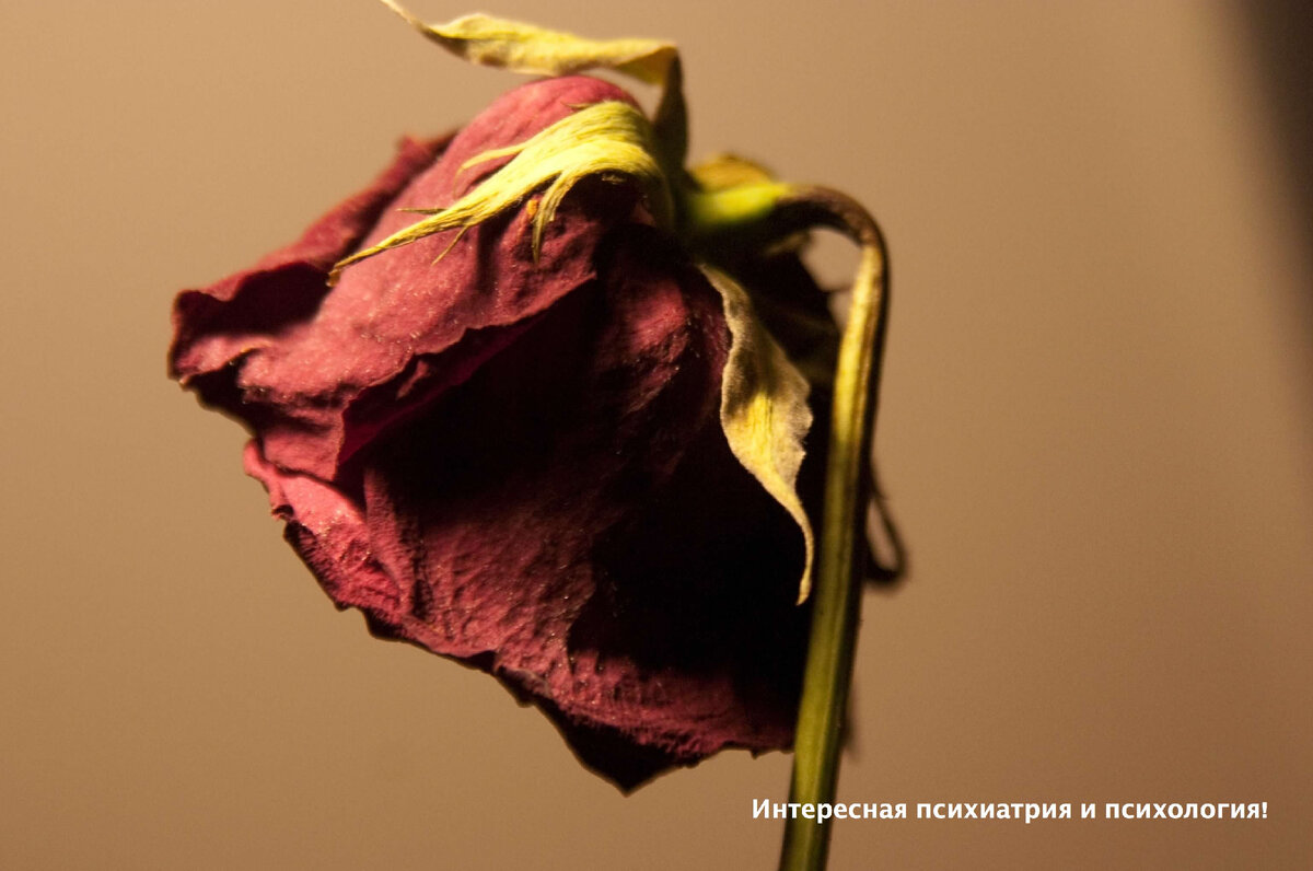 Существуют типичные и патологические симптомы горя. Первый тип проявлений постепенно проходит без вмешательства психологов и врачей. Патологические реакции часто требуют помощи специалистов.