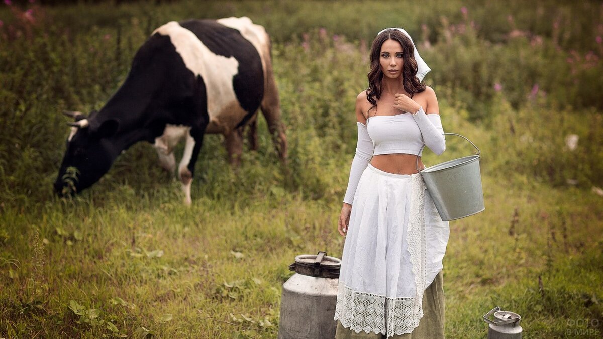 Фото из свободного источника.