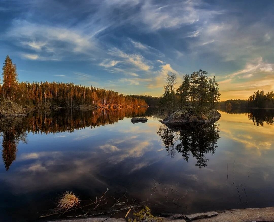 Фото взято из открытых источников