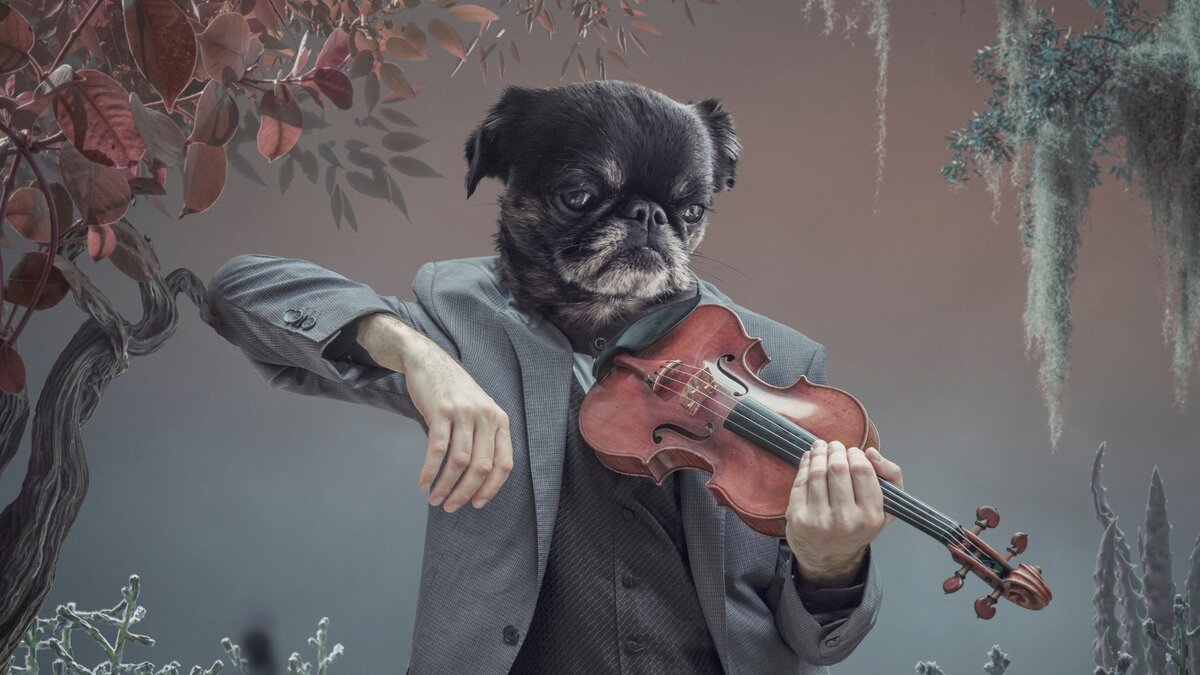 Влияние на дыхание и кровяное давление