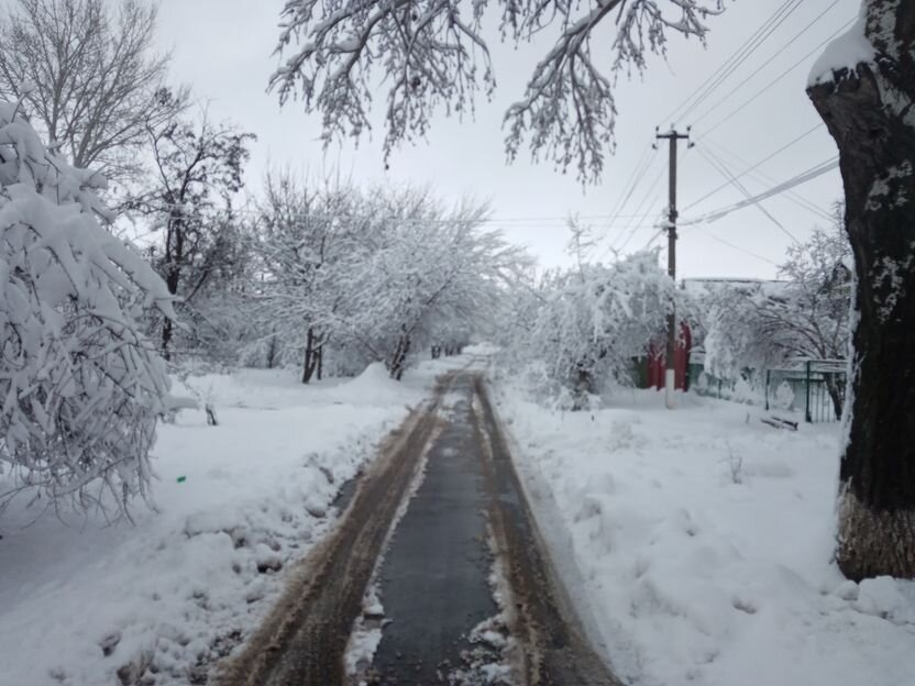 Собственное фото автора. Моя улица в нынешнее время. Ничего не изменилось со времён моей молодости, только деревья стали большими... Вот, по этой вот, дорожке сколько раз топали и мои ножки... (И Вовины))