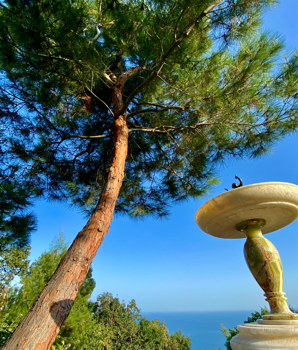 Справа в кадр попала поилка для птиц, сделанная из подручных материалов)). Она пока не закончена, но думаю о ней тоже рассказать впоследствии как о примере элемента садового декора. 