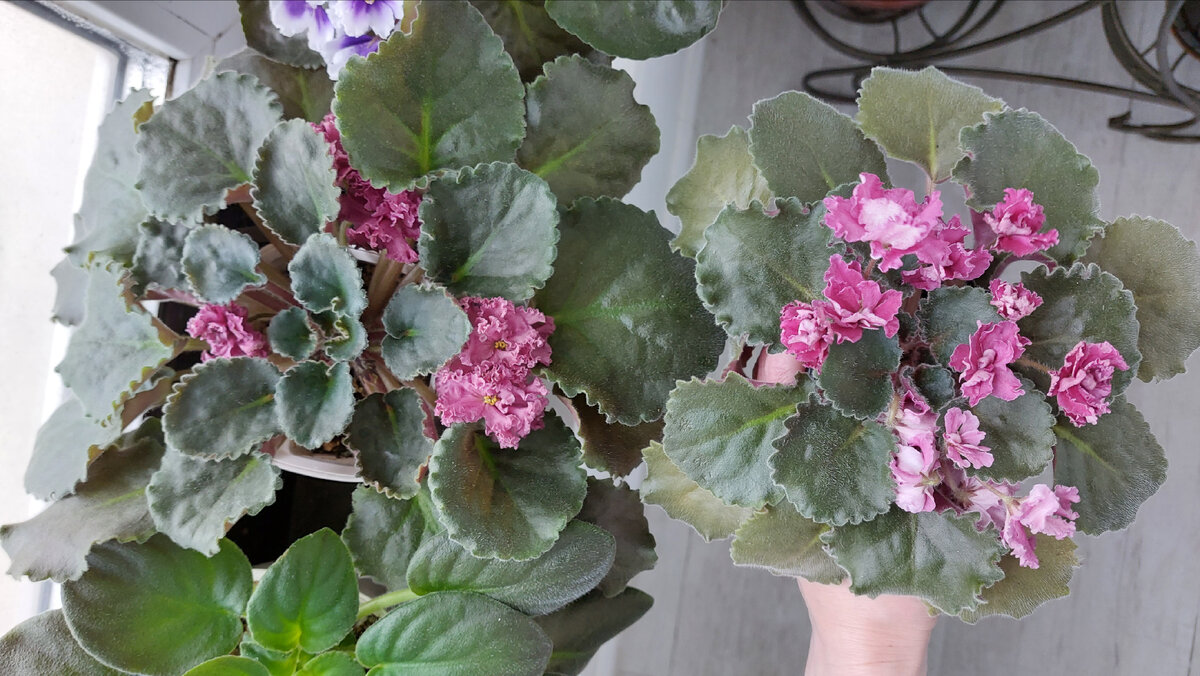 Тоже видно разницу?