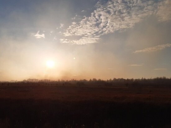     фото: Андрей Давыдов / МК-Урал