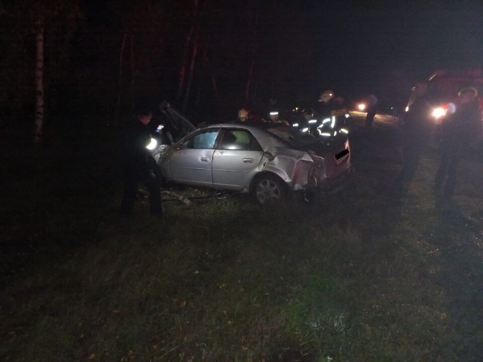     Фото с сайта ГУ МВД по Воронежской области