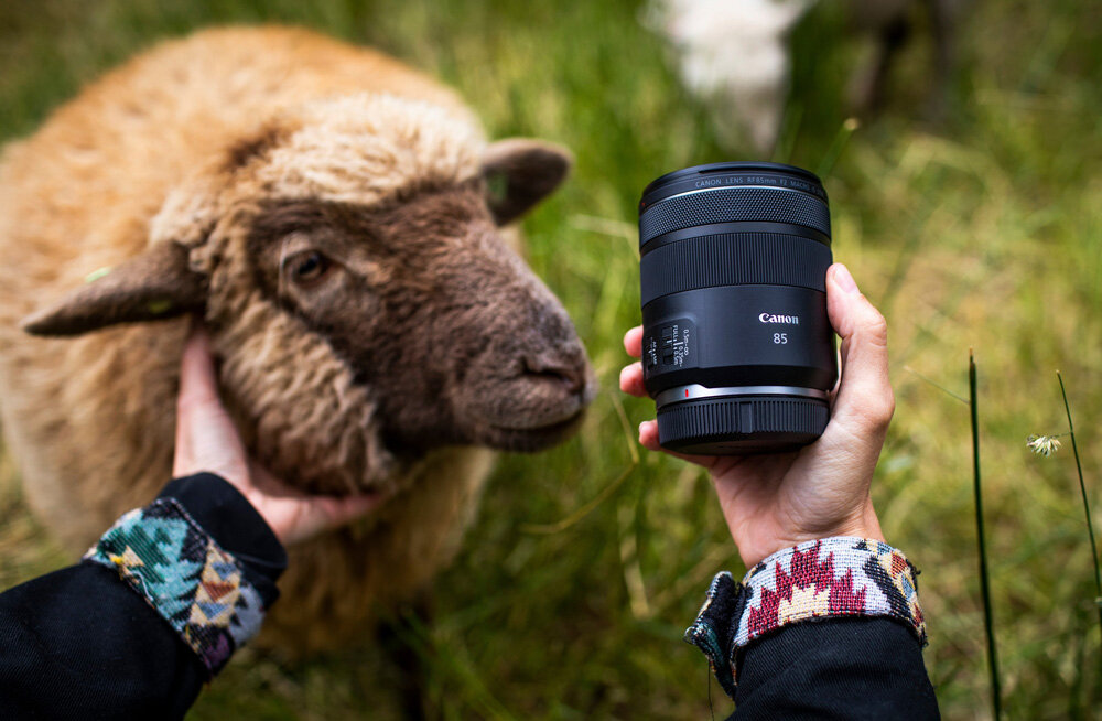 Источник: https://clck.ru/32N8q4