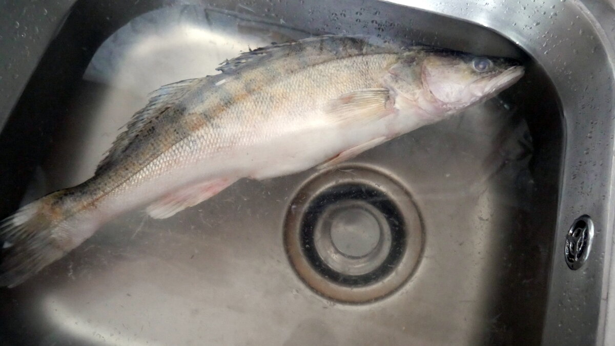 Заливное из рыбы c желатином - 8 простых и вкусных рецептов с фото пошагово