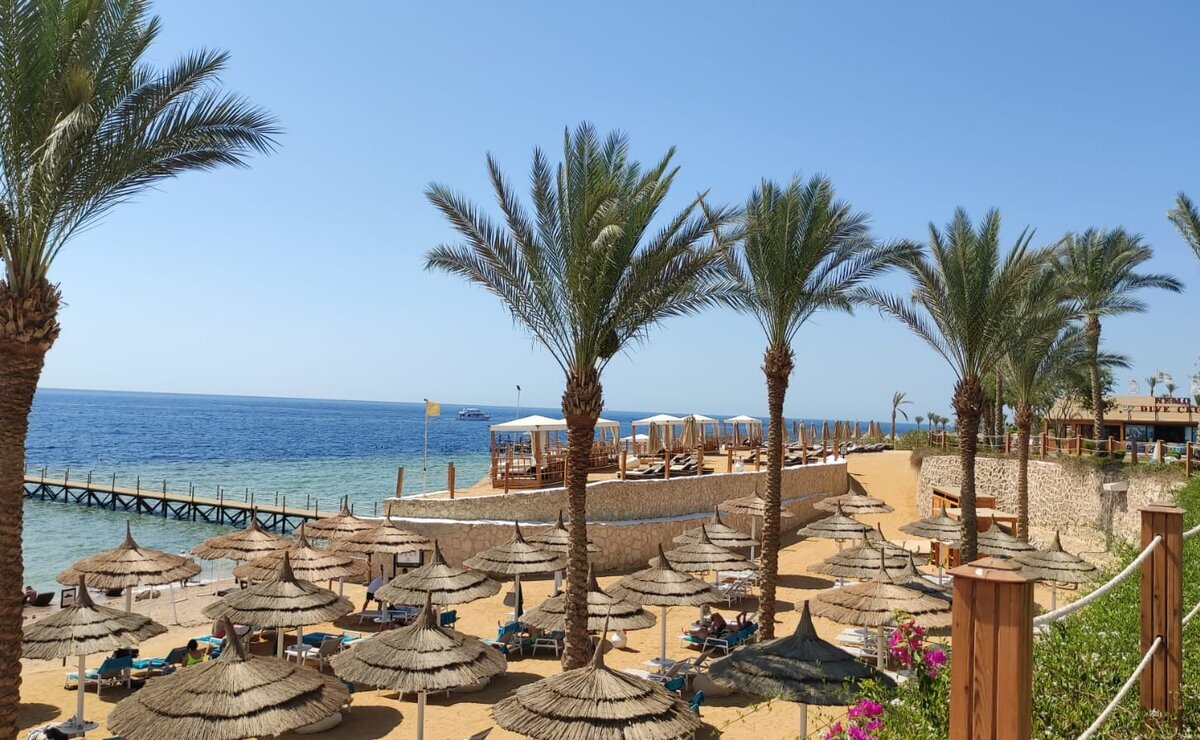    Из Петербурга снова будет можно улететь в Шарм-эль-Шейх на прямом рейсе