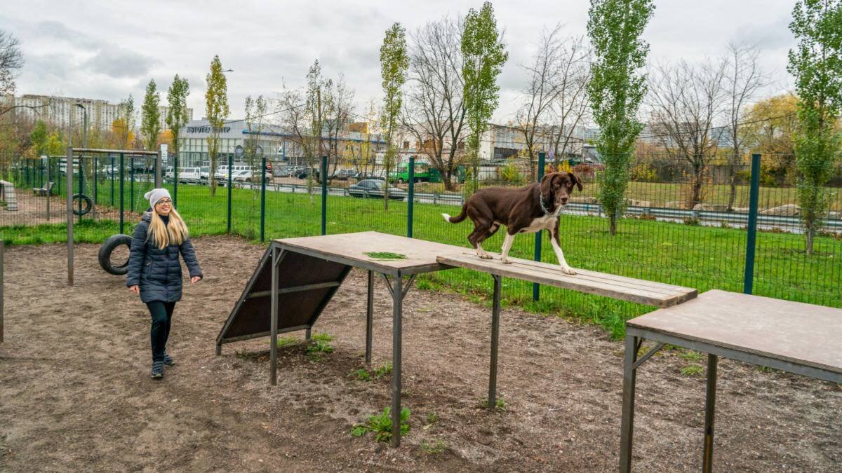    Фото: Пресс-служба Городского хозяйства Москвы