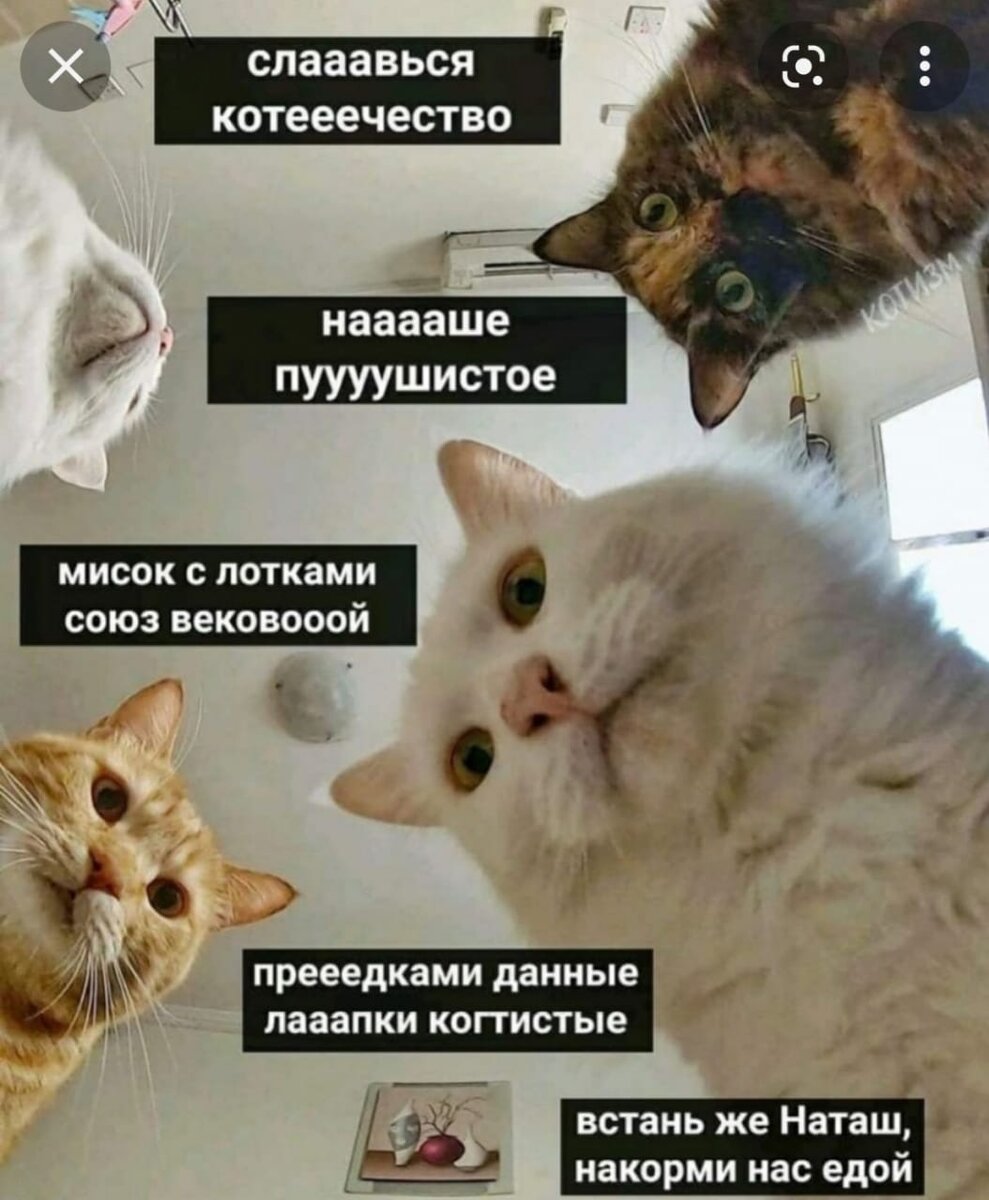 Посмеялся сам - поделись с другом!!!