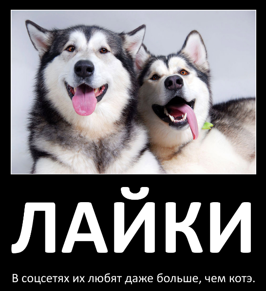 Источник - Яндекс-картинки