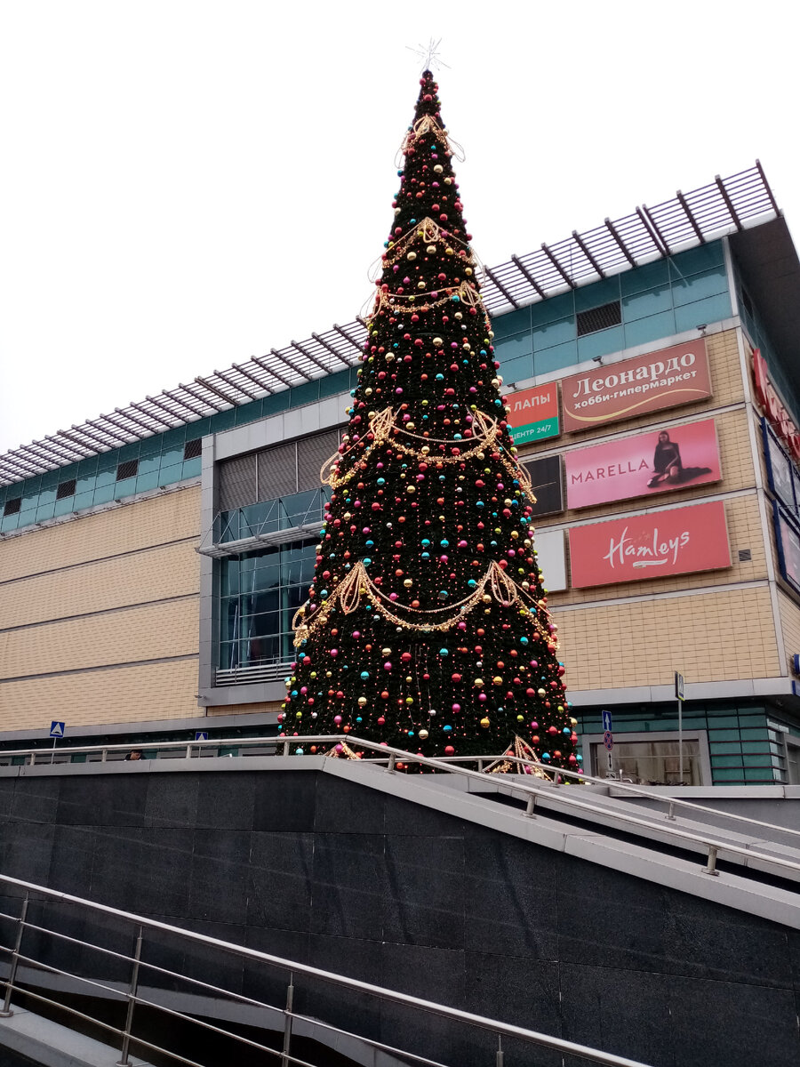 Уже елочка стоит.