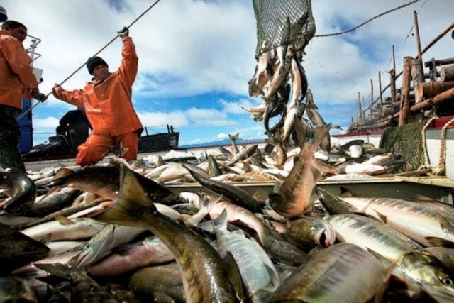    Рыба Fish.gov.ru