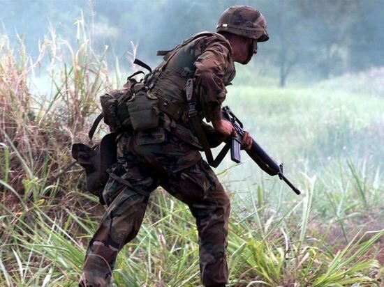     фото: pxhere.com