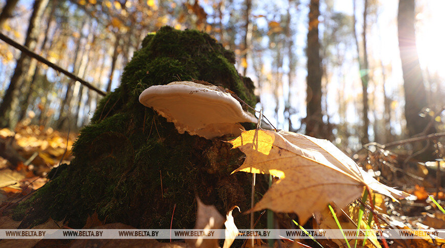    Фото из архива