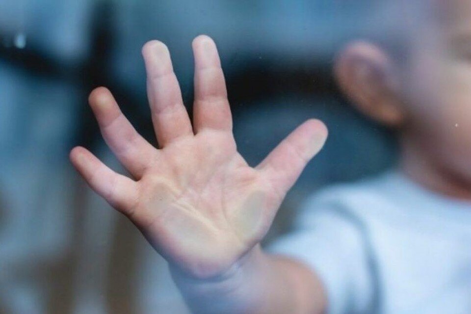     Детей объединит просмотр фильма и возможность обсудить его