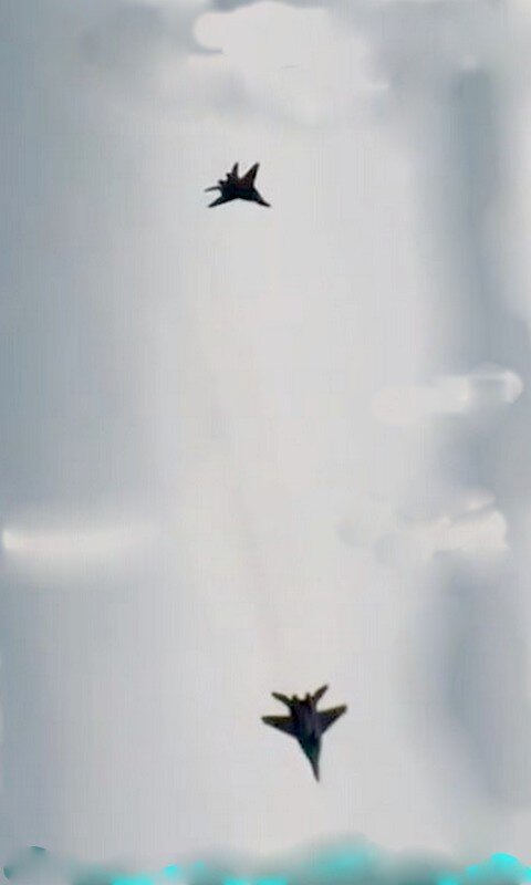 А тот, который во мне сидит, считает, что он - истребитель... Фото из свободных источников.