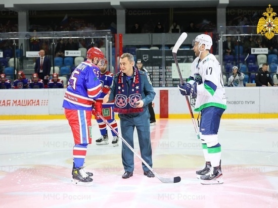     фото: МЧС России по Тульской области