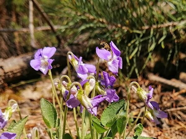 К теме в магазине: https://www.livemaster.ru/topic/3683670