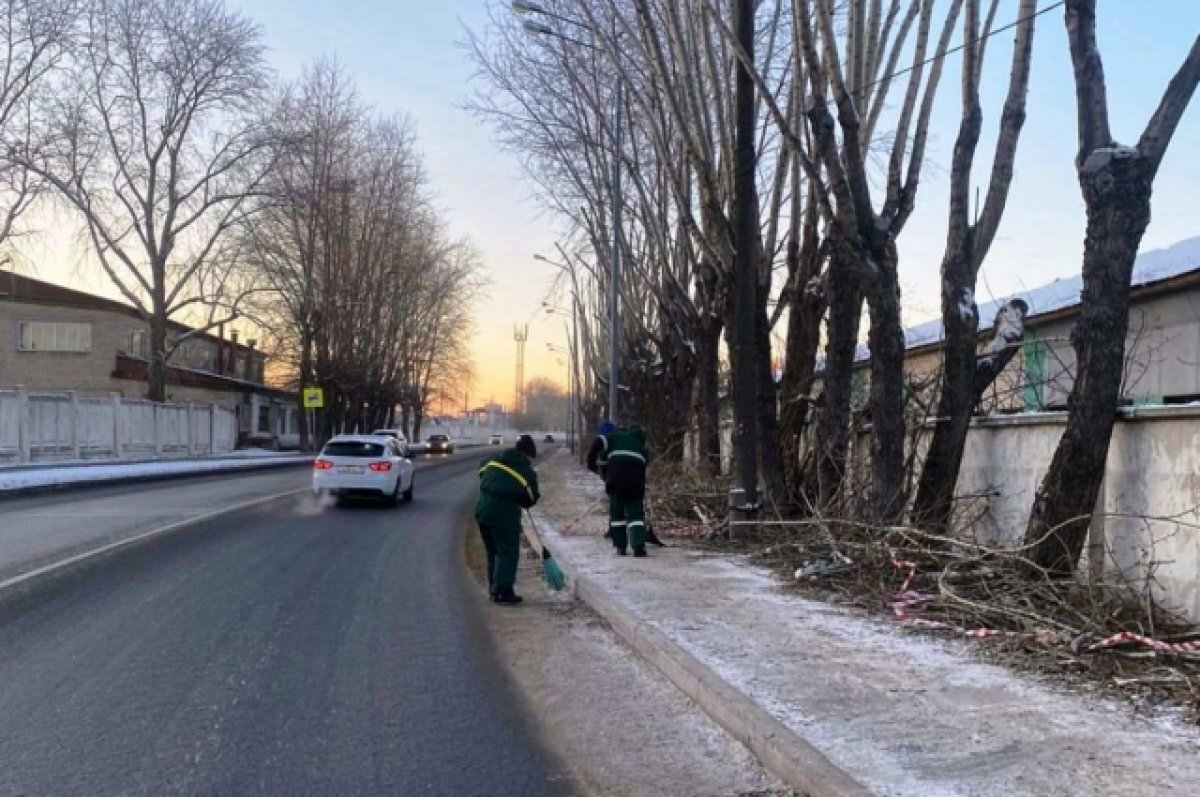    В Тюмени начались сезонные работы по обрезке деревьев