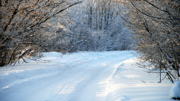 ФОТО: SVETLANA VOZMILOVA/GLOBALLOOKPRESS
