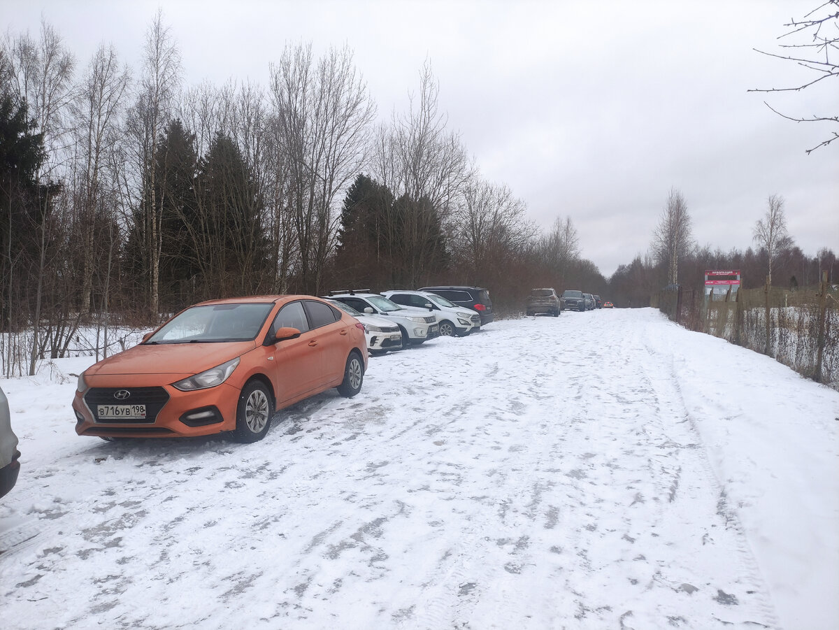 Простой пеший маршрут по зимнему лесу в пригороде Петербурга | Путешествия:  большие и маленькие | Дзен